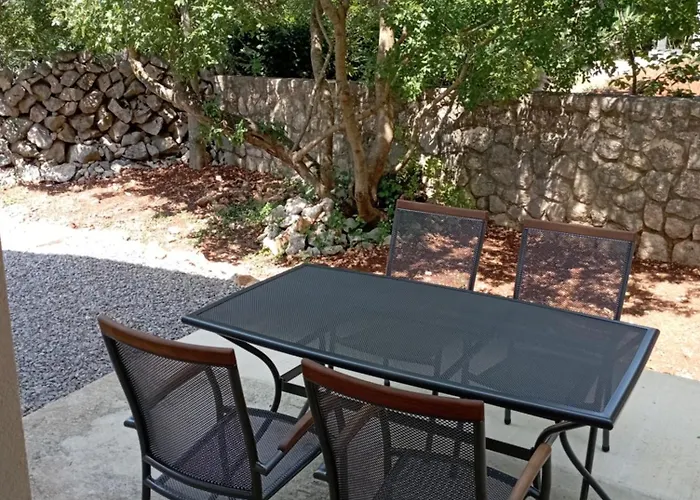 Apartment Tiziana Pinezići